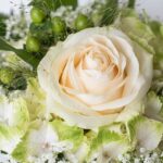 Nieoklepane Życzenia Urodzinowe