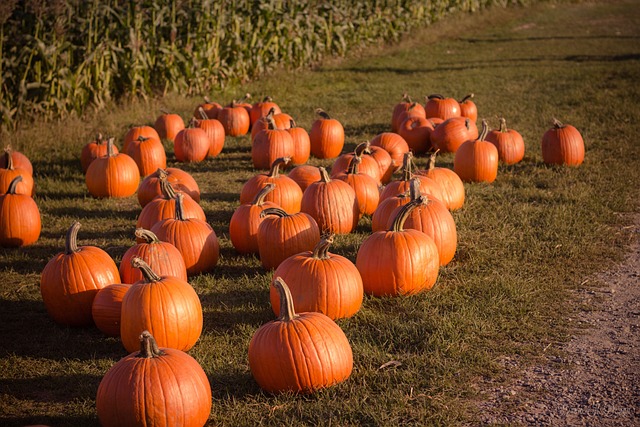 Kiedy jest halloween?