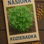 Nasiona kozieradki